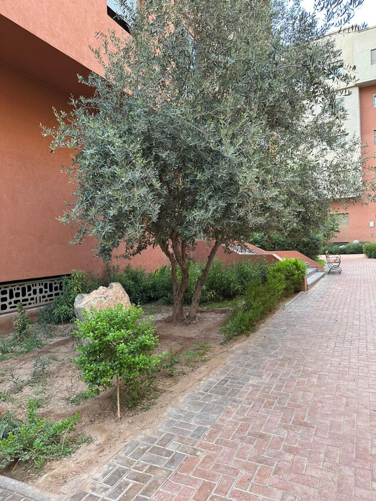 Appartement Le Saphir Un De Paradis Marrakesh